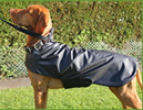 Take a look at our range of dog coats