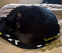 Jamie-Lee - Cat Cushion
