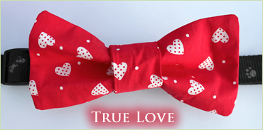 KocoKookie Bow Tie - Red Hearts
